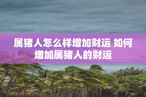 属猪人怎么样增加财运 如何增加属猪人的财运