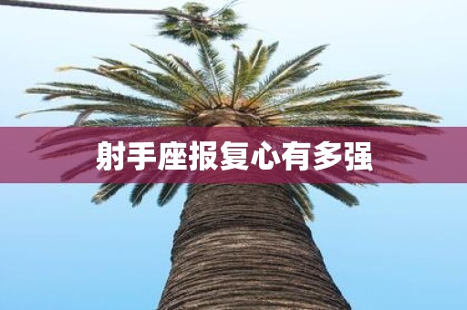 射手座报复心有多强