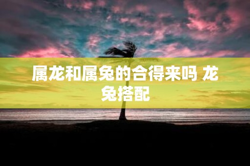 属龙和属兔的合得来吗 龙兔搭配