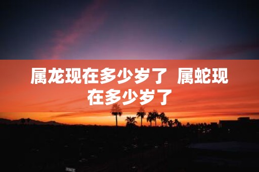 属龙现在多少岁了 属蛇现在多少岁了