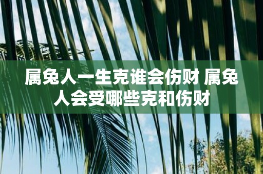 属兔人一生克谁会伤财 属兔人会受哪些克和伤财