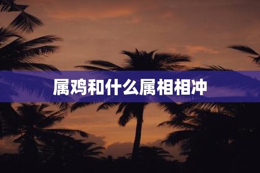属鸡和什么属相相冲
