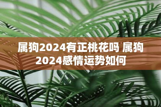 属狗2025有正桃花吗 属狗2025感情运势如何