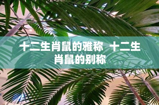 十二生肖鼠的雅称 十二生肖鼠的别称