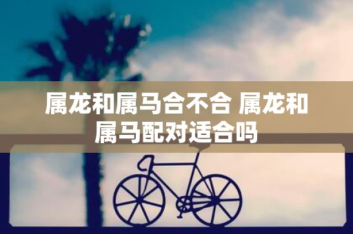属龙和属马合不合 属龙和属马配对适合吗