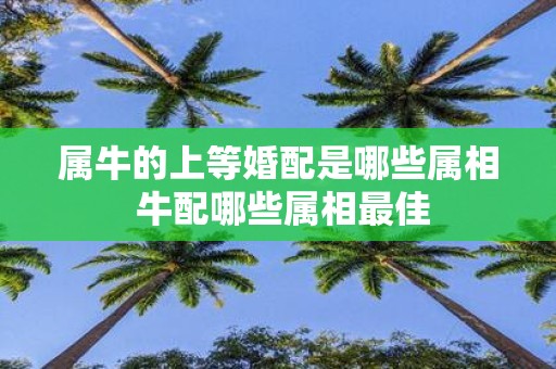 属牛的上等婚配是哪些属相 牛配哪些属相最佳