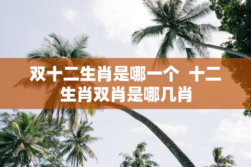 双十二生肖是哪一个 十二生肖双肖是哪几肖
