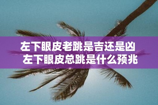 左下眼皮老跳是吉还是凶 左下眼皮总跳是什么预兆