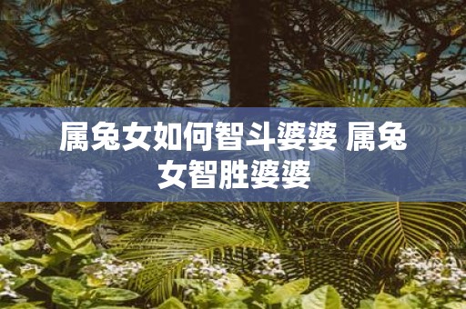 属兔女如何智斗婆婆 属兔女智胜婆婆