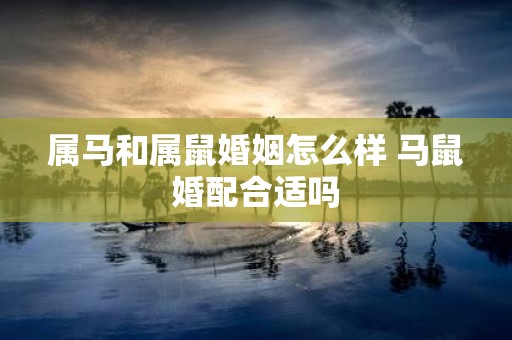 属马和属鼠婚姻怎么样 马鼠婚配合适吗
