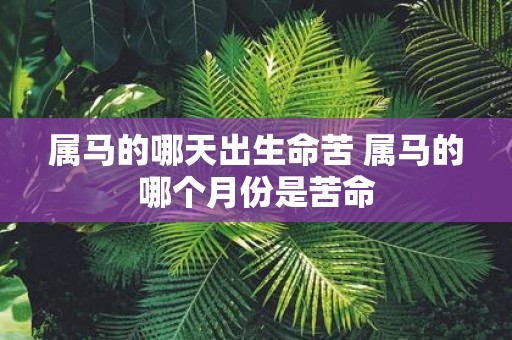 属马的哪天出生命苦 属马的哪个月份是苦命