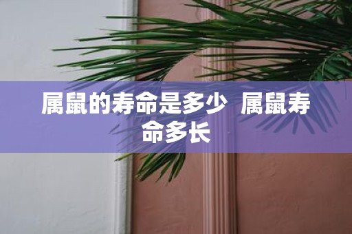 属鼠的寿命是多少 属鼠寿命多长
