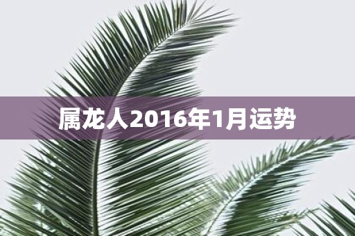 属龙人2016年1月运势
