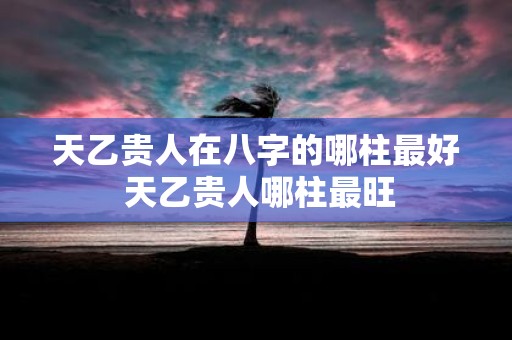 天乙贵人在八字的哪柱最好 天乙贵人哪柱最旺