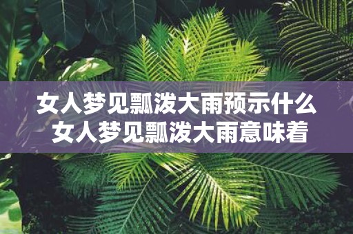 女人梦见瓢泼大雨预示什么 女人梦见瓢泼大雨意味着什么