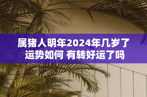 属猪人明年2025年几岁了 运势如何 有转好运了吗