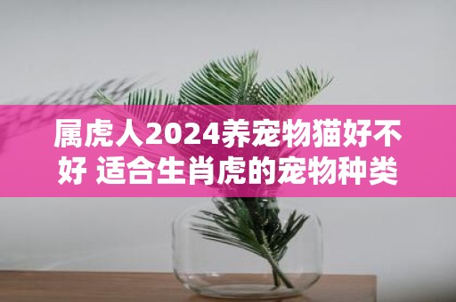 属虎人2025养宠物猫好不好 适合生肖虎的宠物种类