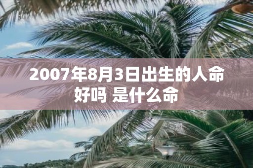 2007年8月3日出生的人命好吗 是什么命