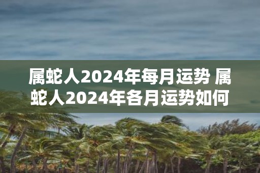属蛇人2025年每月运势 属蛇人2025年各月运势如何
