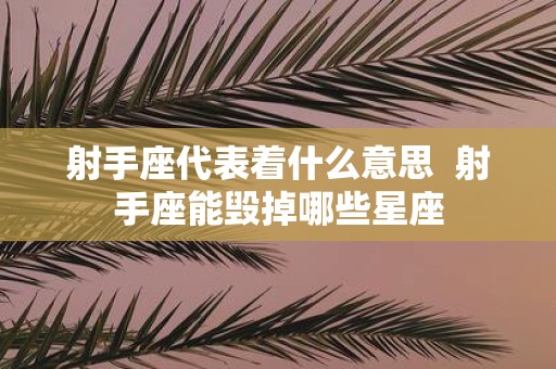 射手座代表着什么意思 射手座能毁掉哪些星座