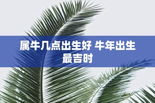 属牛几点出生好 牛年出生最吉时