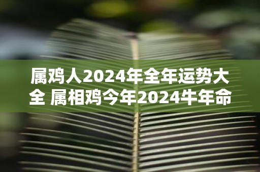 属鸡人2025年全年运势大全 属相鸡今年2025牛年命运怎么样