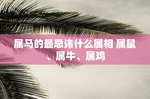 属马的最忌讳什么属相 属鼠、属牛、属鸡