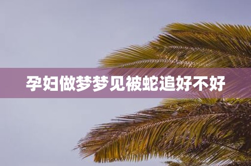 孕妇做梦梦见被蛇追好不好