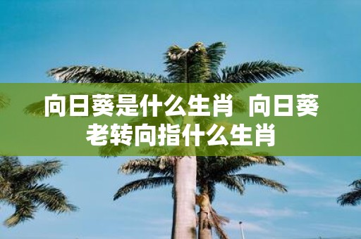 向日葵是什么生肖 向日葵老转向指什么生肖