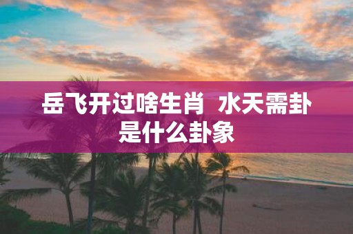 岳飞开过啥生肖 水天需卦是什么卦象