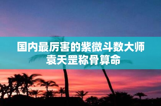 国内最厉害的紫微斗数大师 袁天罡称骨算命