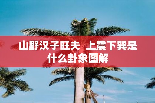 山野汉子旺夫 上震下巽是什么卦象图解