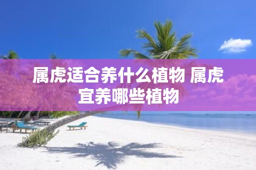 属虎适合养什么植物 属虎宜养哪些植物