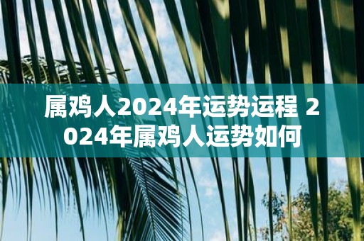 属鸡人2025年运势运程 2025年属鸡人运势如何