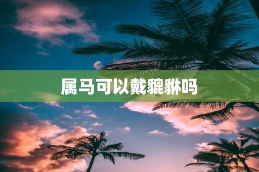 属马可以戴貔貅吗