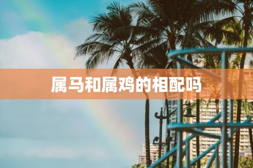 属马和属鸡的相配吗