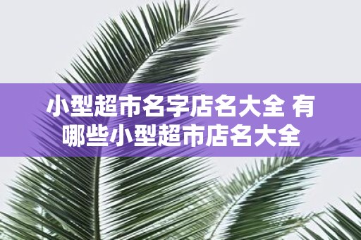小型超市名字店名大全 有哪些小型超市店名大全