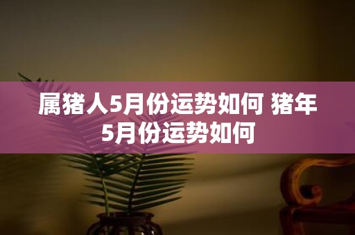 属猪人5月份运势如何 猪年5月份运势如何