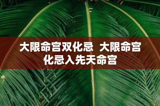 大限命宫双化忌 大限命宫化忌入先天命宫