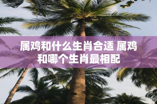 属鸡和什么生肖合适 属鸡和哪个生肖最相配