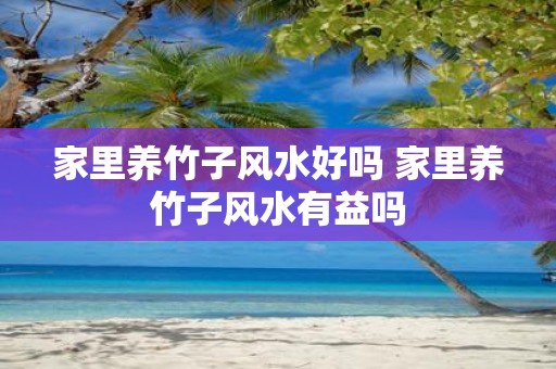 家里养竹子风水好吗 家里养竹子风水有益吗