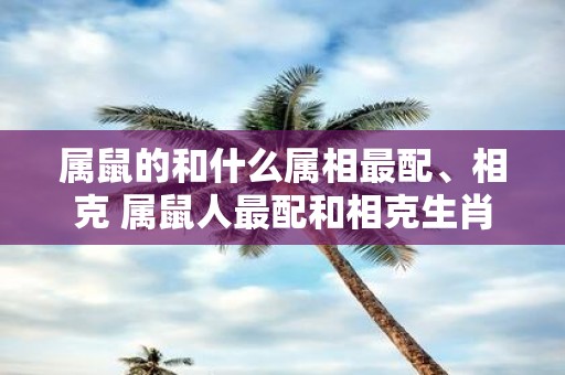 属鼠的和什么属相最配、相克 属鼠人最配和相克生肖