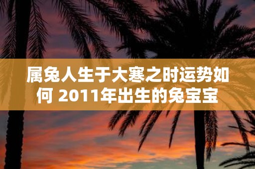 属兔人生于大寒之时运势如何 2011年出生的兔宝宝