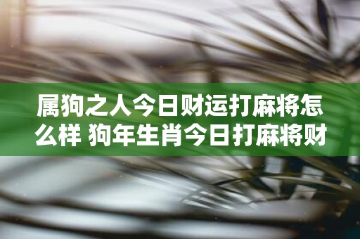 属狗之人今日财运打麻将怎么样 狗年生肖今日打麻将财运如何