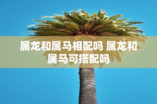 属龙和属马相配吗 属龙和属马可搭配吗