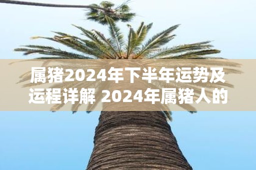 属猪2025年下半年运势及运程详解 2025年属猪人的全年每月运势