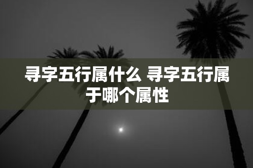 寻字五行属什么 寻字五行属于哪个属性