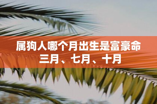 属狗人哪个月出生是富豪命 三月、七月、十月