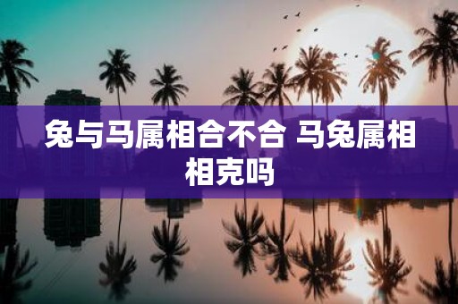 兔与马属相合不合 马兔属相相克吗