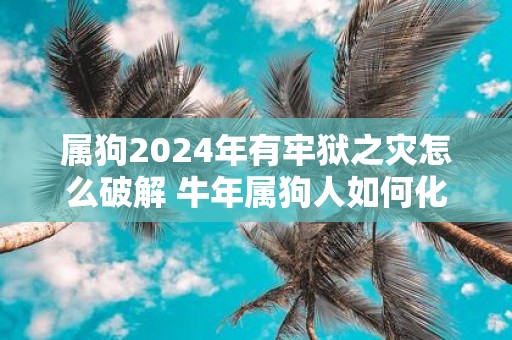 属狗2025年有牢狱之灾怎么破解 牛年属狗人如何化解灾难